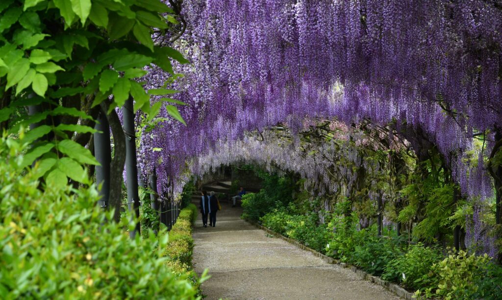 Jardín Bardini