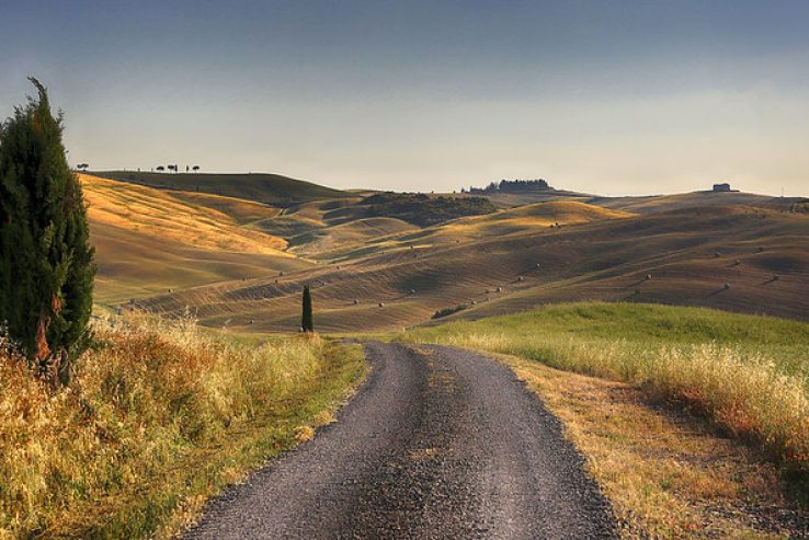 Colinas Pienza y Montalcino
