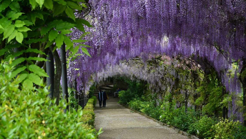 Jardín Bardini